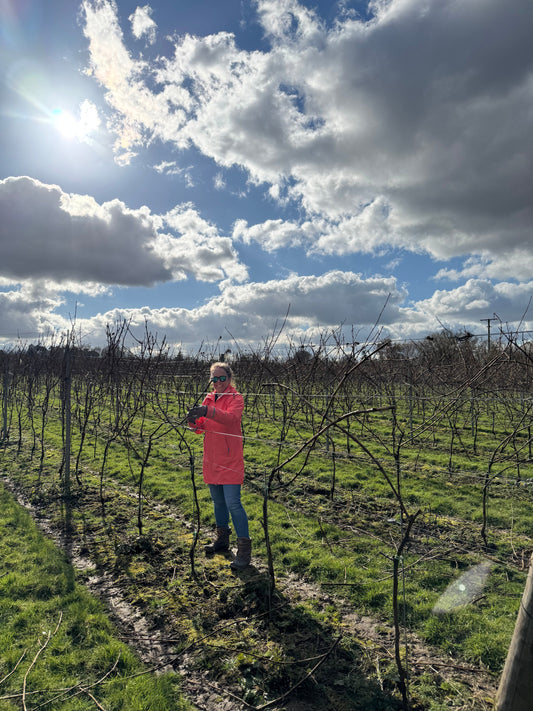 PRUNING IN FULL SWING
