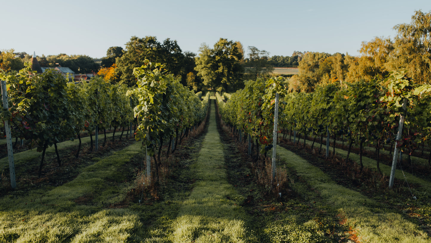 Tours and Tastings