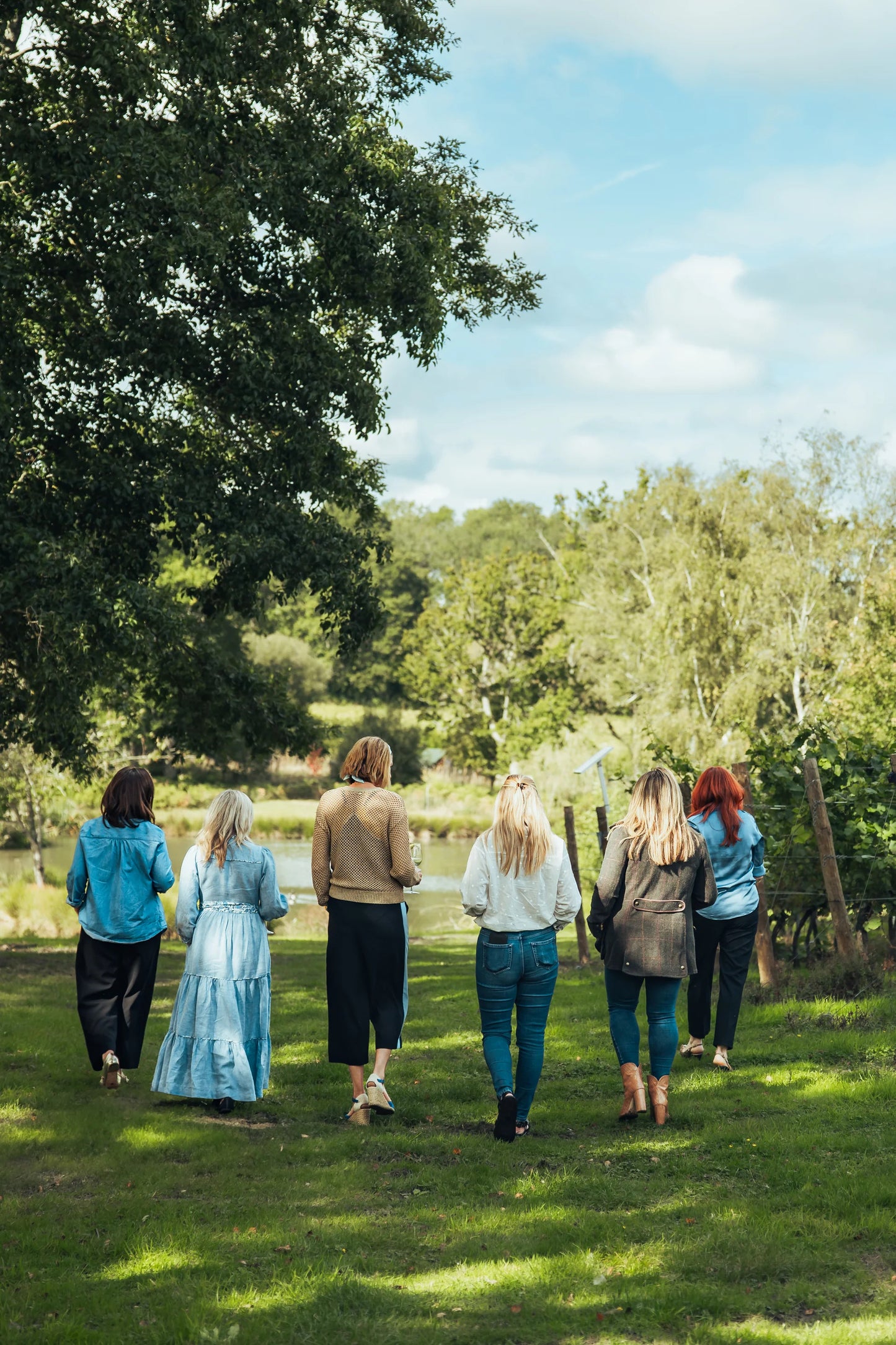 Vineyard Tours & Tastings