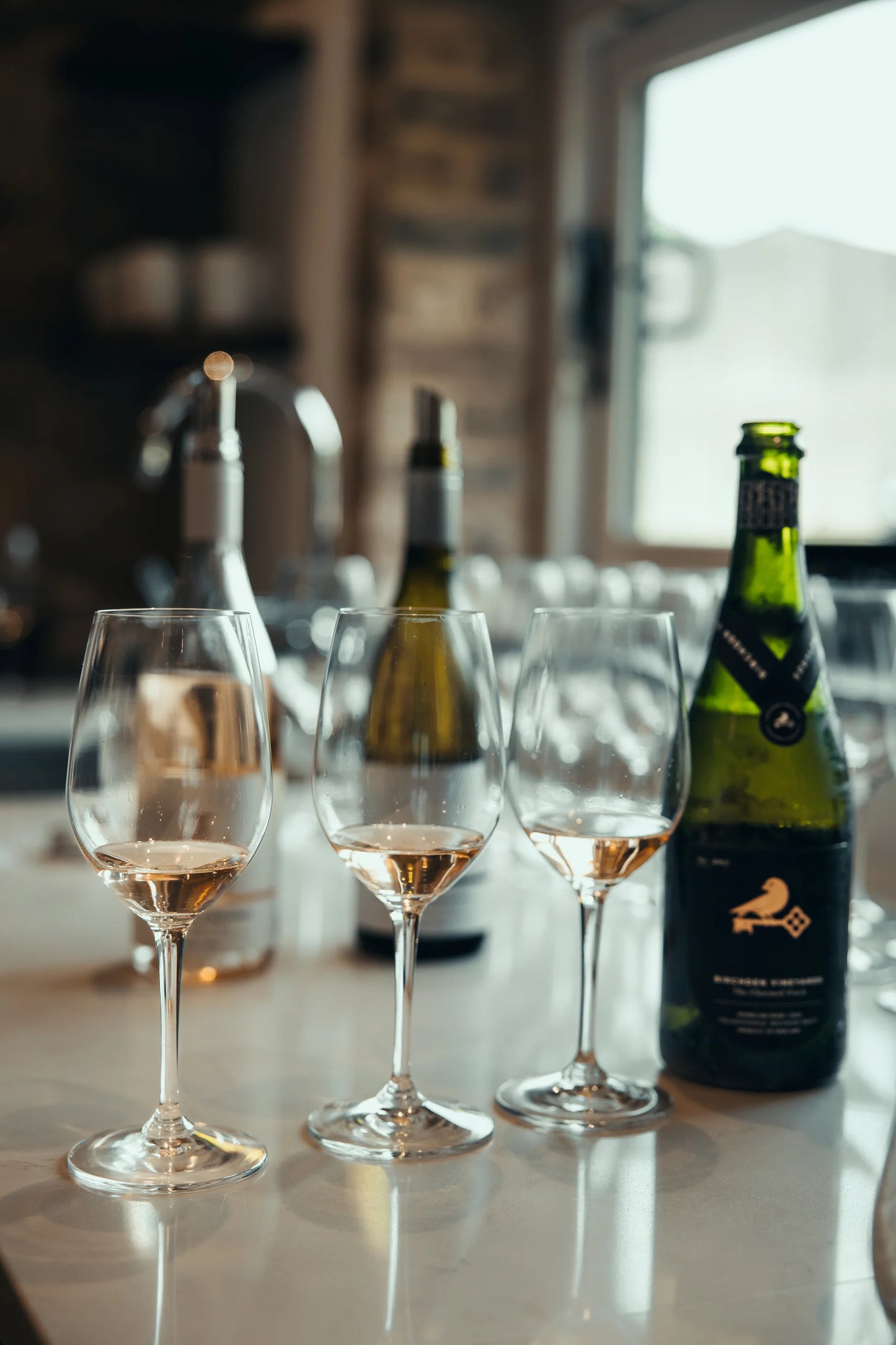 Vineyard Tours & Tastings