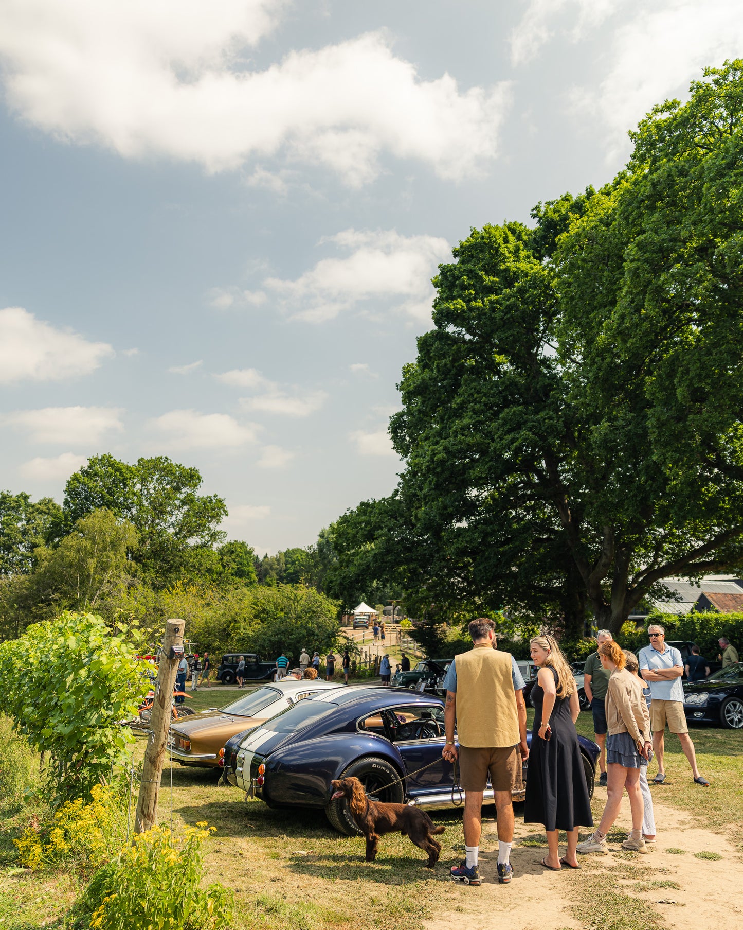 Classic Motor Breakfast Club