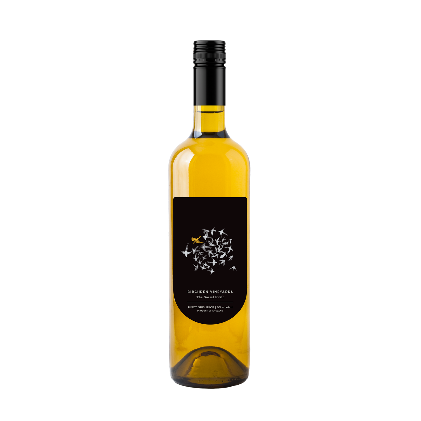 The Social Swift 2025