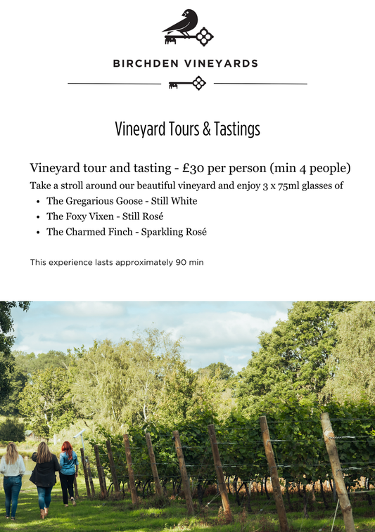 Vineyard Tours and Tastings