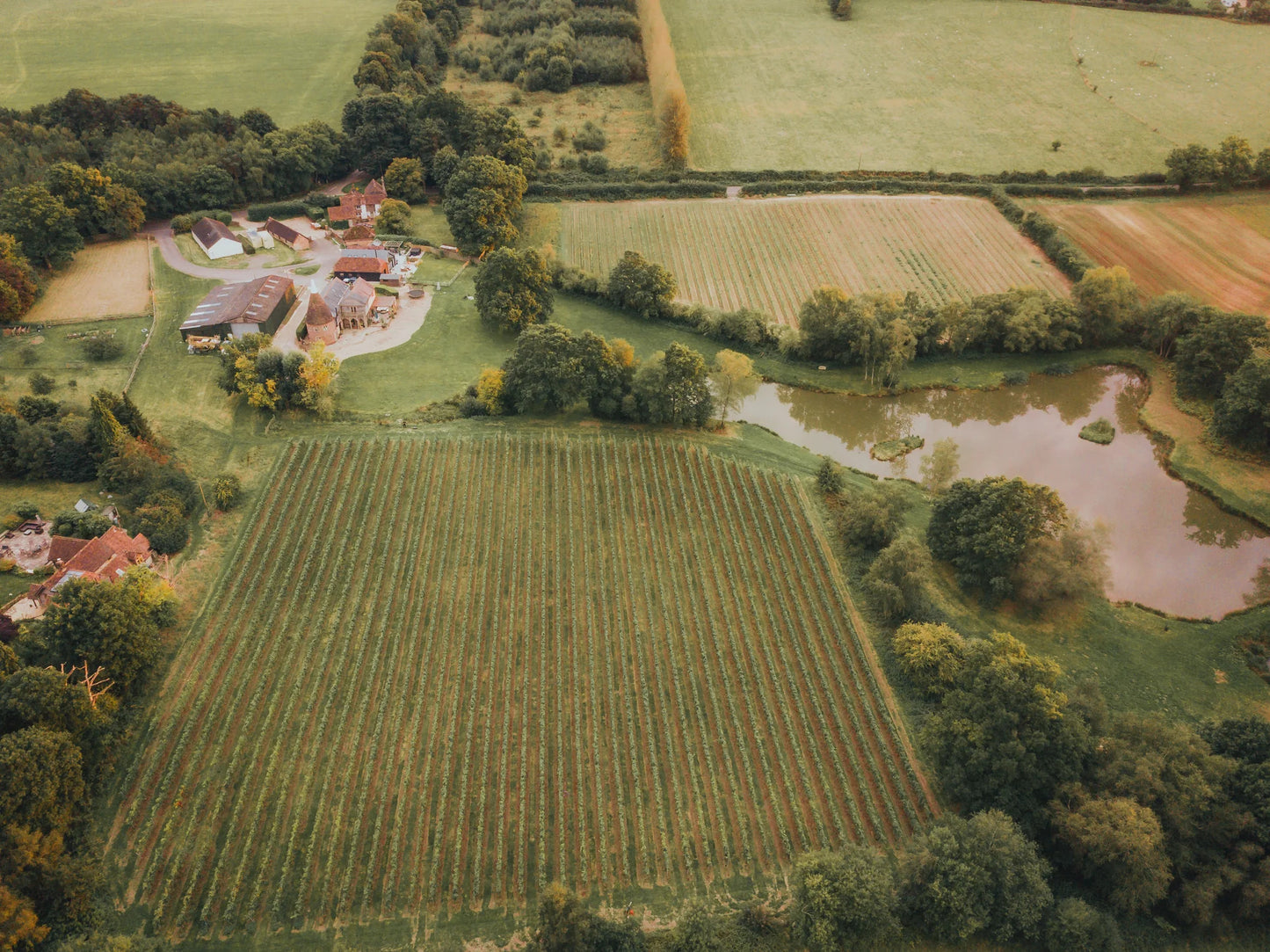 The Spa Valley Railway Experience