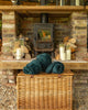 Vineyard Picnics - Available All Year Round