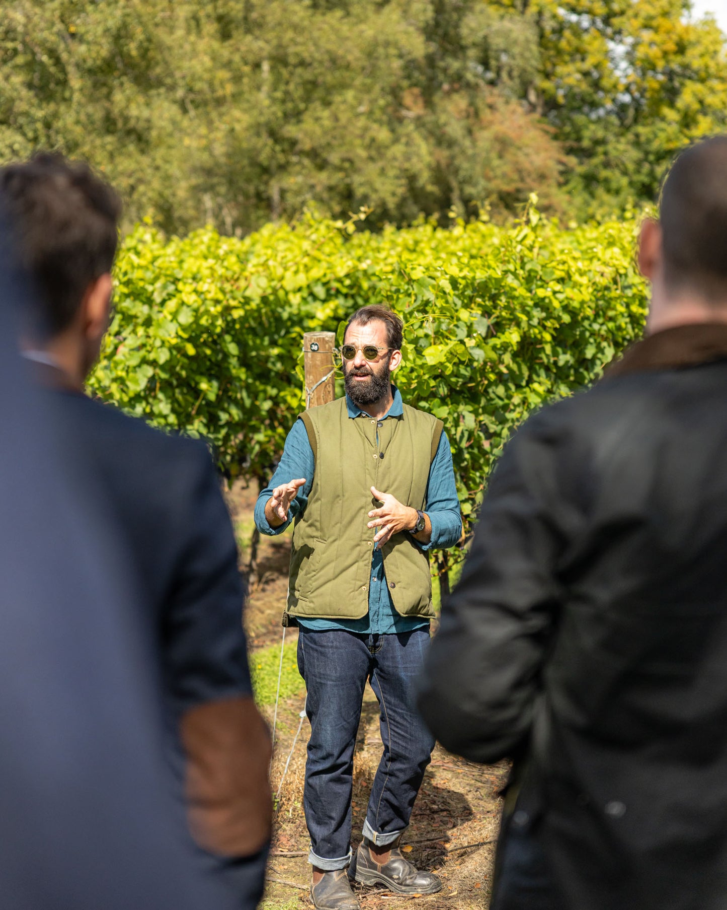 Vineyard Tours & Tastings