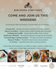 Christmas at Birchden Vineyards