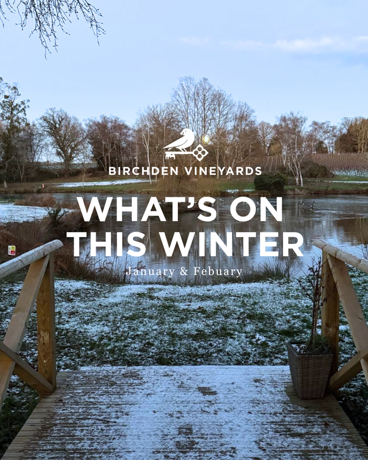 What's on this Winter at Birchden Vineyards