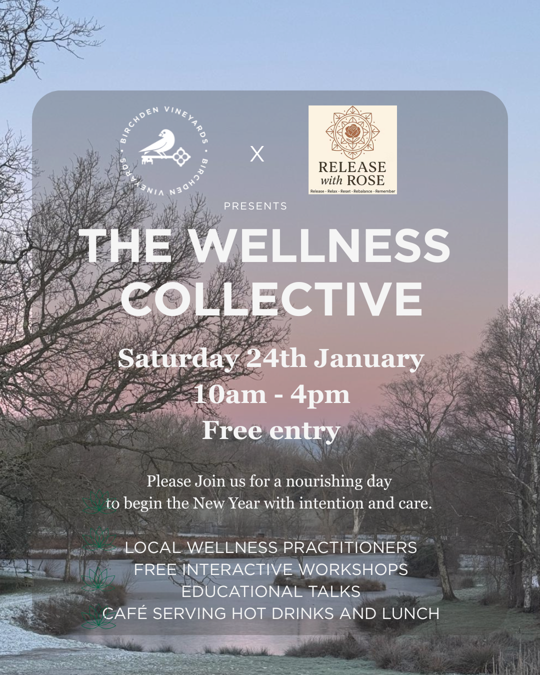 Wellness Day at the Vineyards