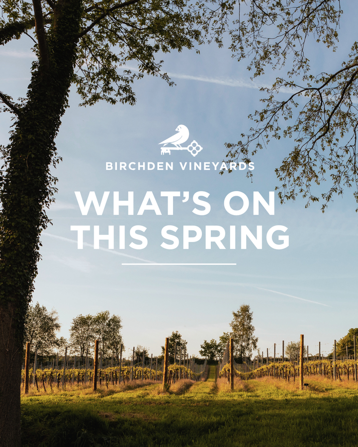 What's on this Spring at Birchden Vineyards