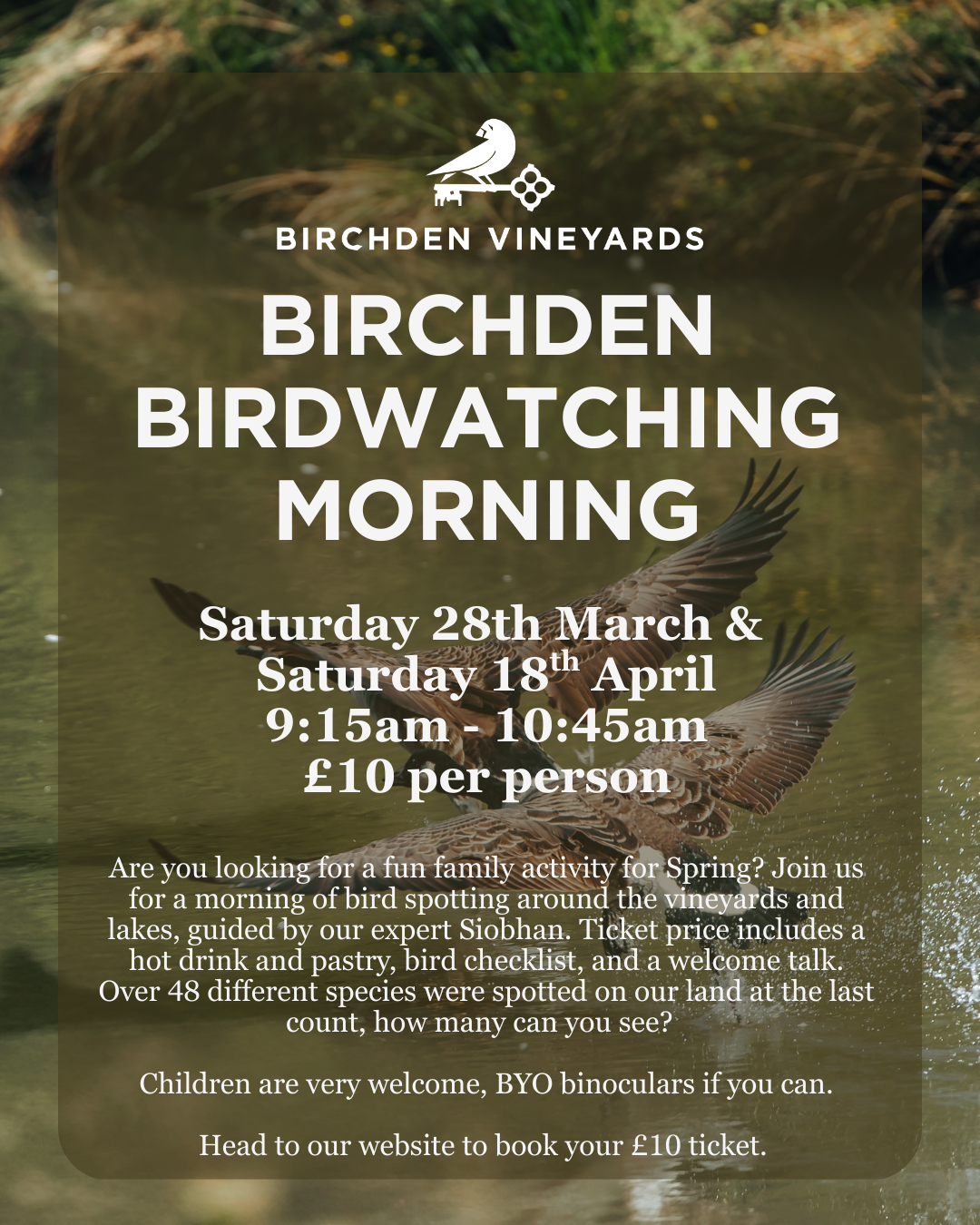 What's on this Spring at Birchden Vineyards