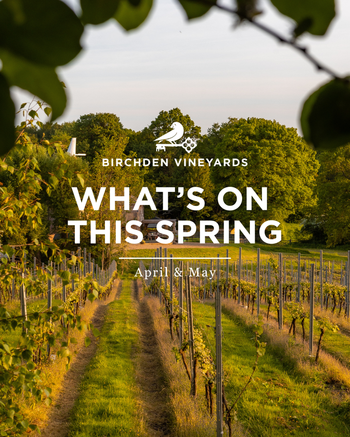 What's on this Spring at Birchden Vineyards