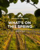 What's on this Spring at Birchden Vineyards