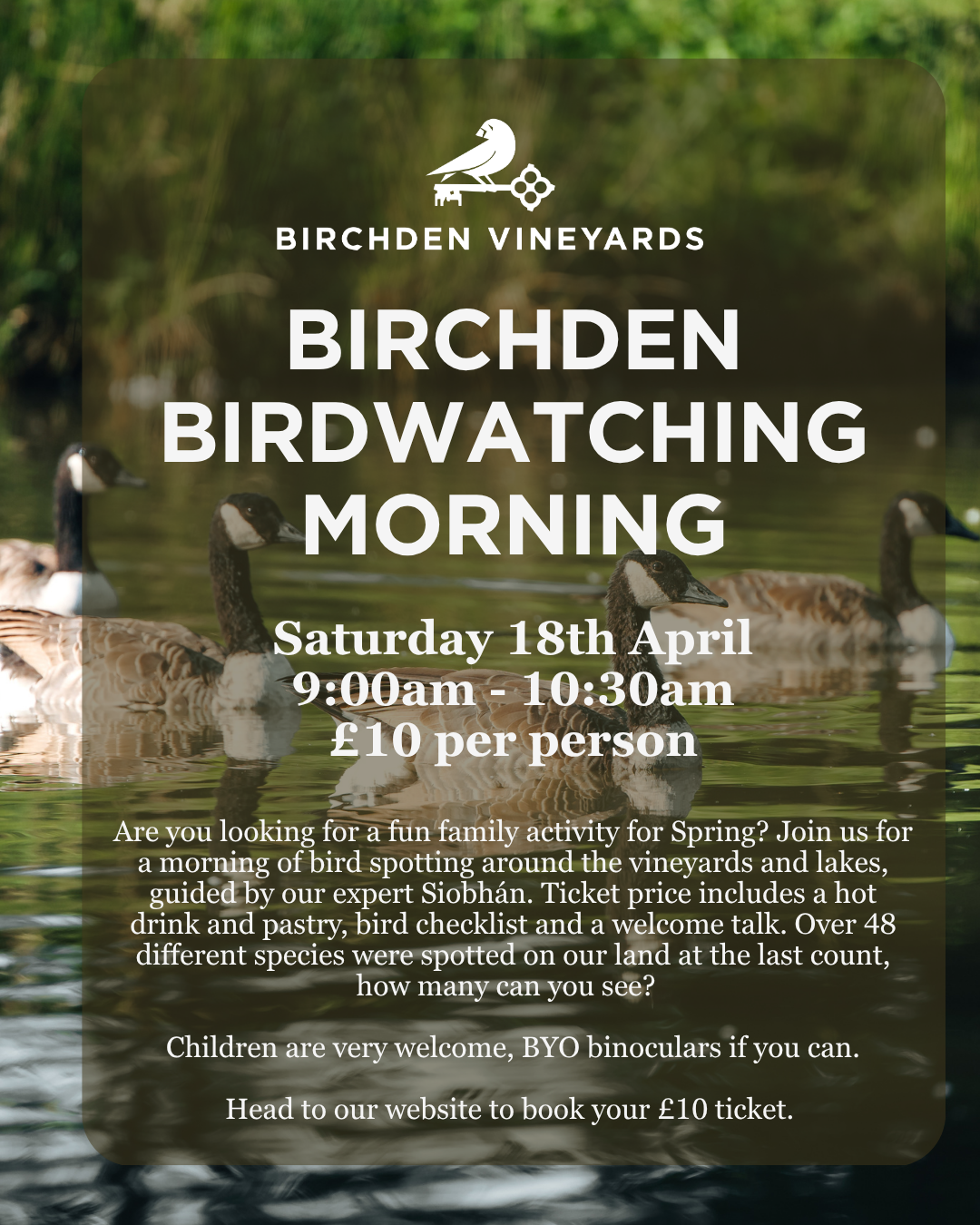 What's on this Spring at Birchden Vineyards