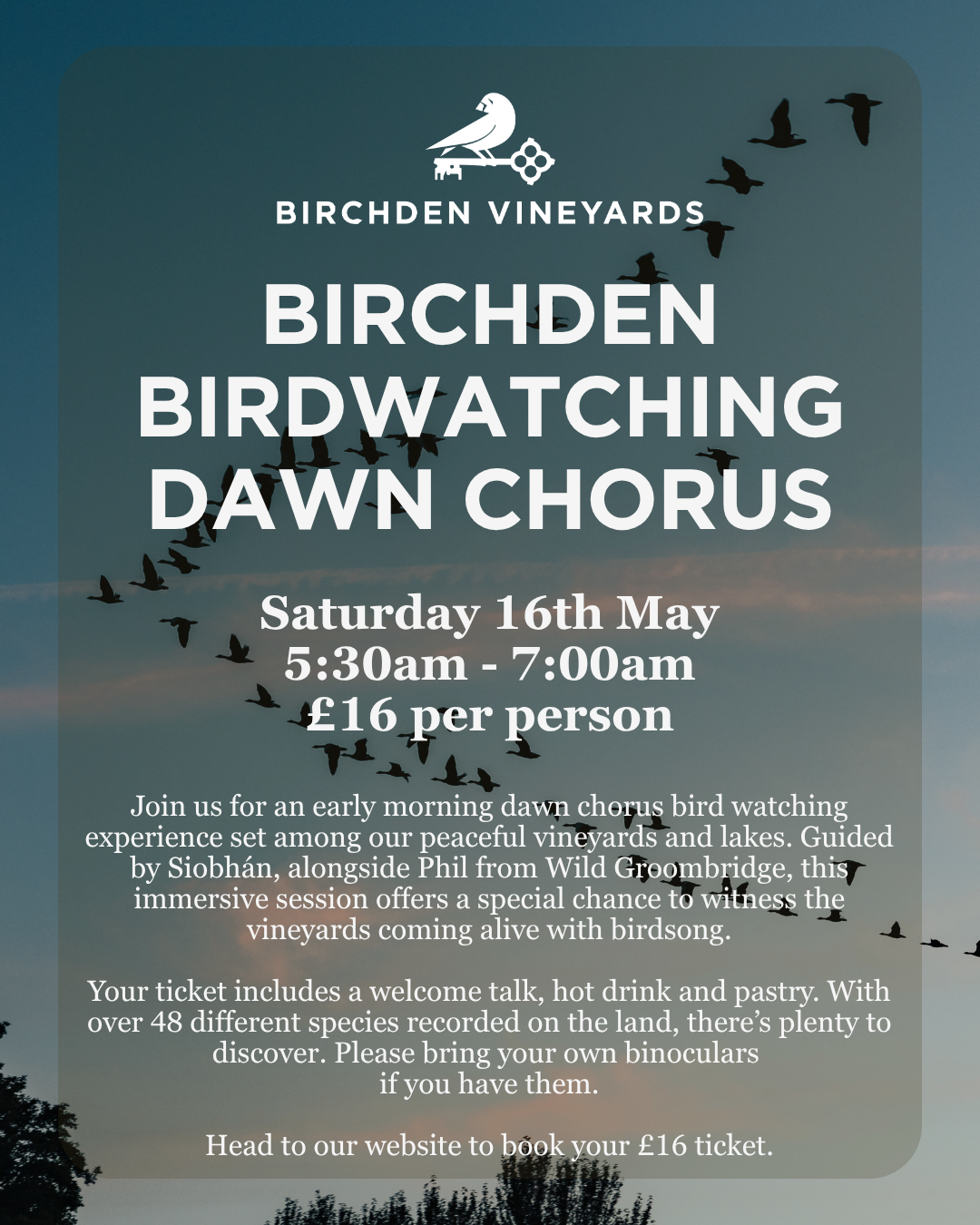 What's on this Spring at Birchden Vineyards