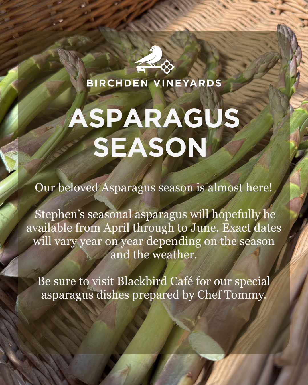 What's on this Spring at Birchden Vineyards