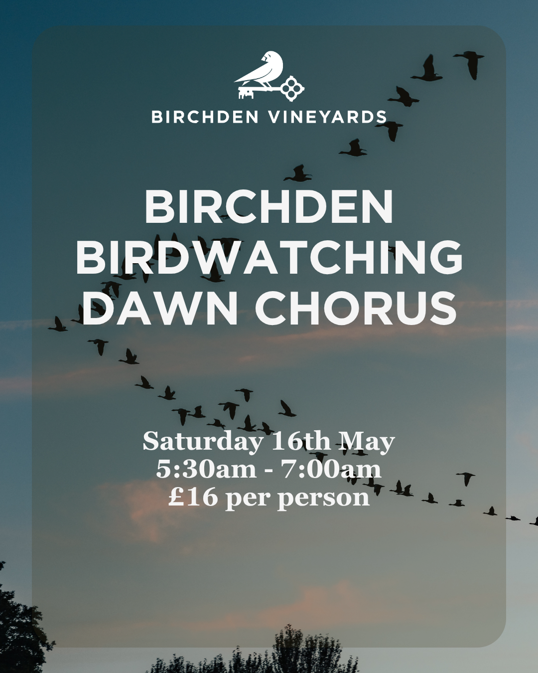 Birchden Vineyards Birdwatching - Dawn Chorus