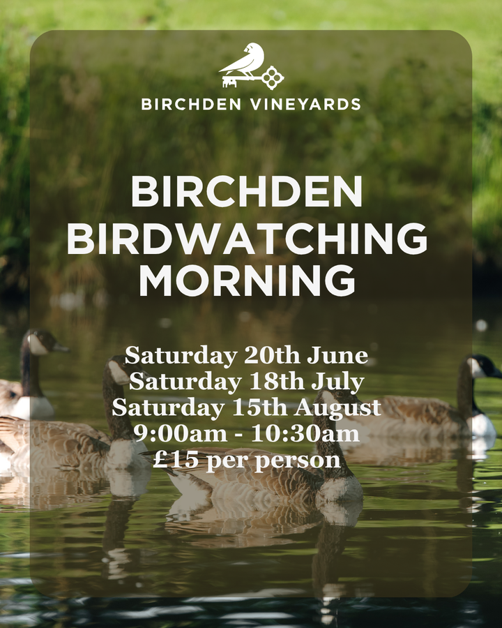 Bird Watching Morning at Birchden Vineyards