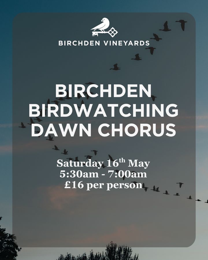 Birchden Vineyards Birdwatching - Dawn Chorus