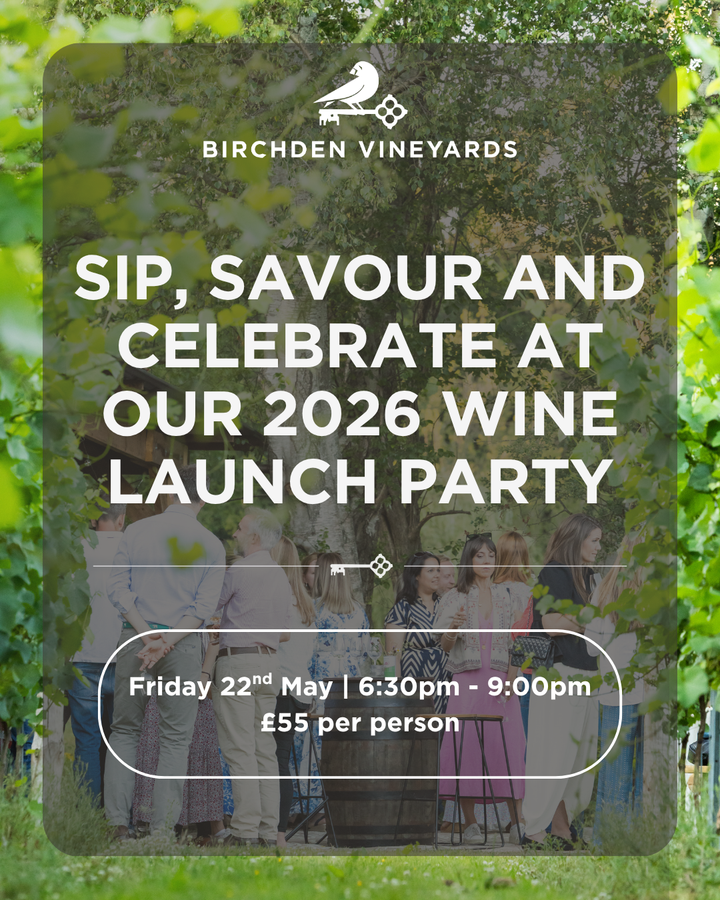 2026 New Wine Launch Party