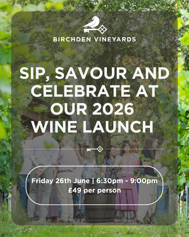 2026 New Wine Launch Party