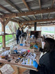 Painting Among the Vines with Gabriel Knollys