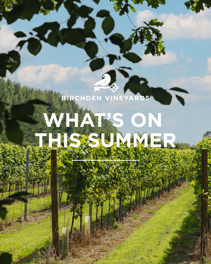 What's on this Summer at Birchden Vineyards