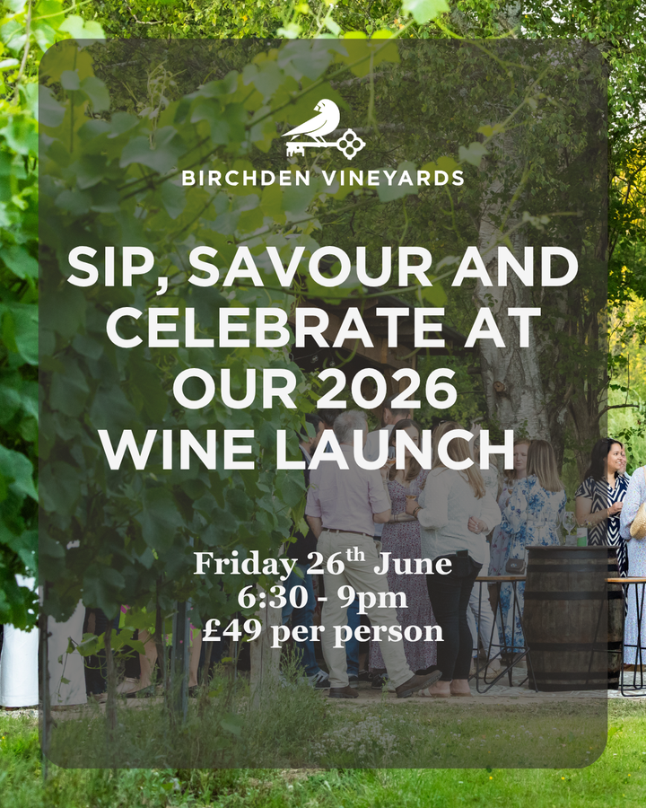 2026 New Wine Launch