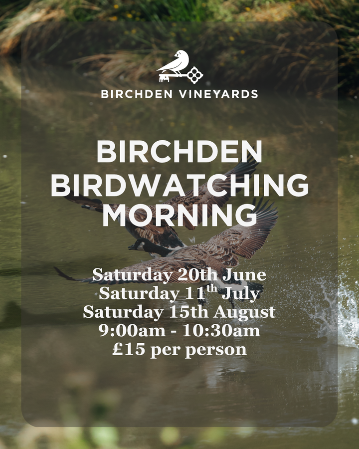 Bird Watching Morning at Birchden Vineyards