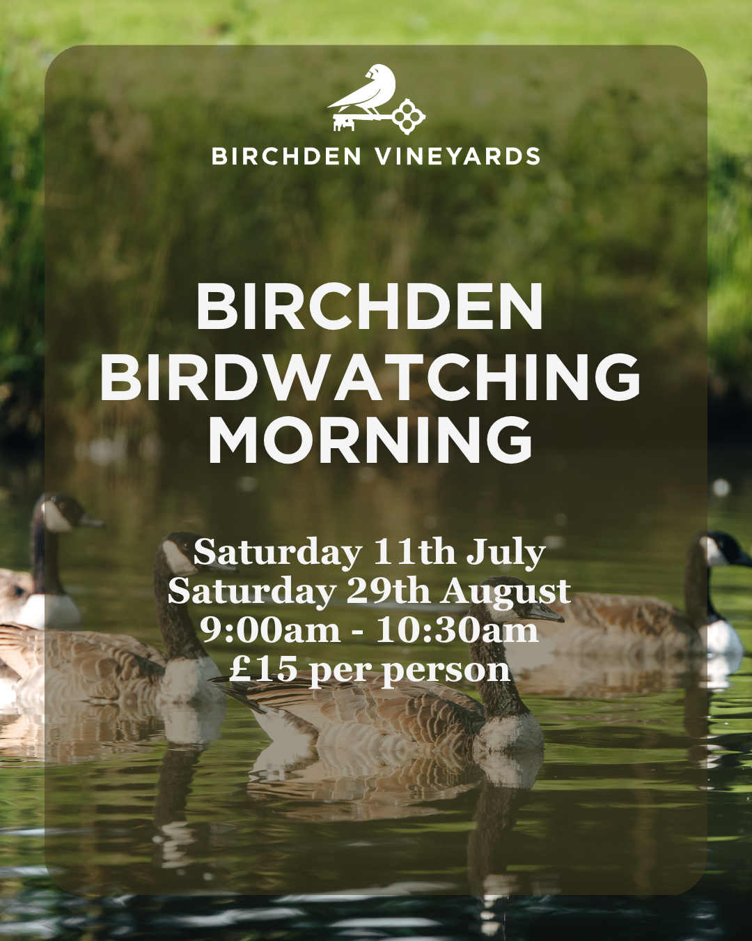 Bird Watching Morning at Birchden Vineyards