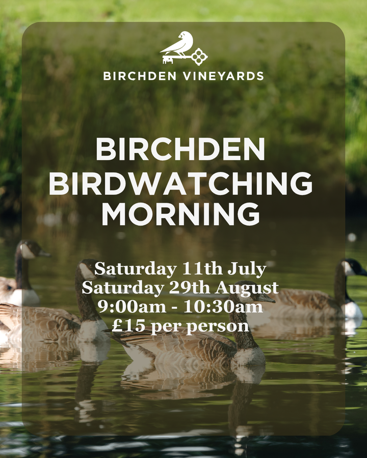 Bird Watching Morning at Birchden Vineyards