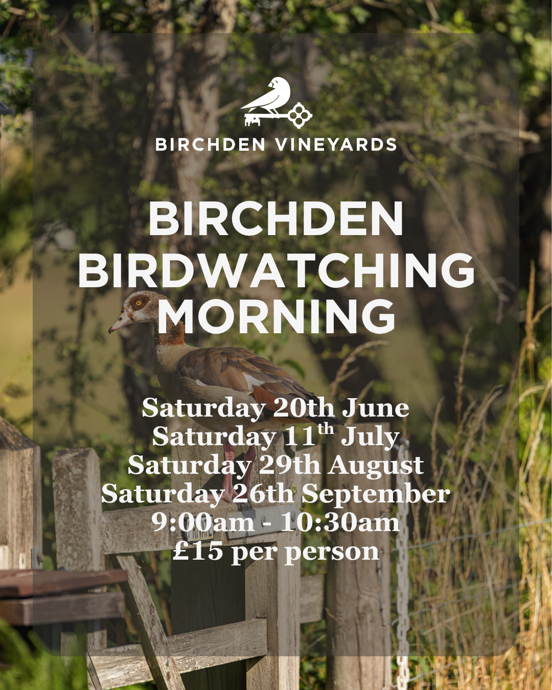 Bird Watching Morning at Birchden Vineyards