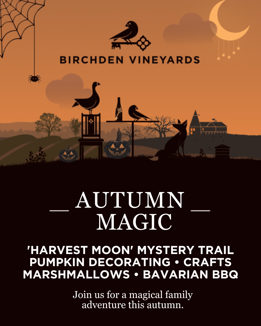 Autumn Magic at Birchden Vineyards