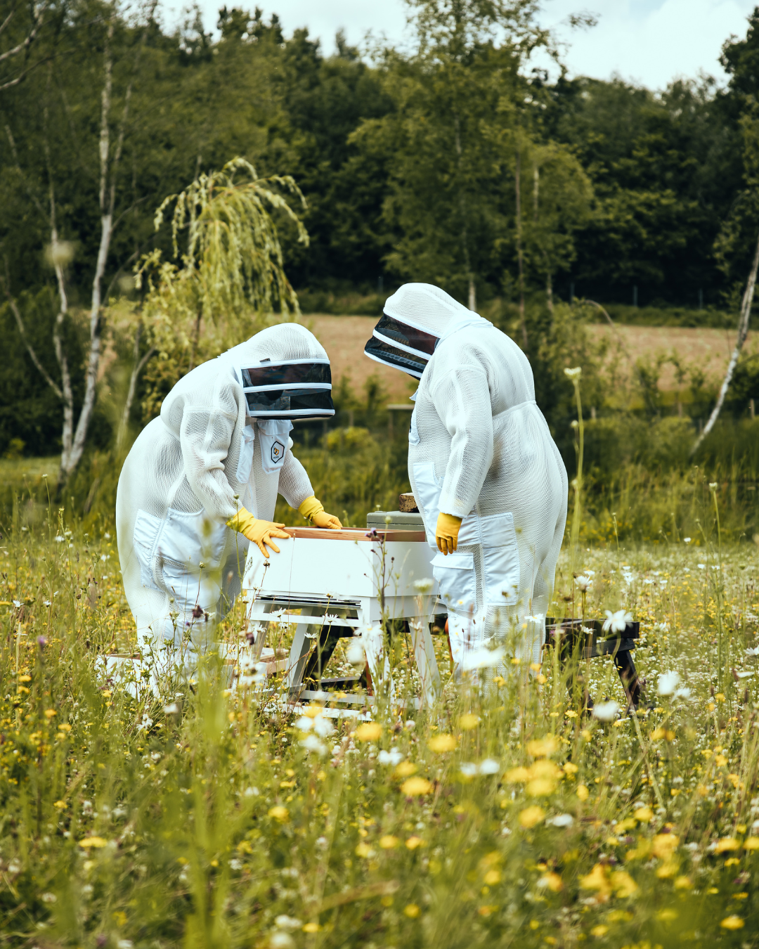 The Birchden Bee Fayre