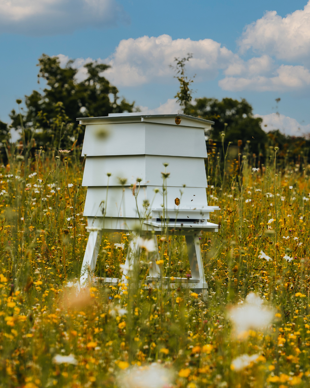 The Birchden Bee Fayre