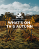 What's on this Autumn at Birchden Vineyards