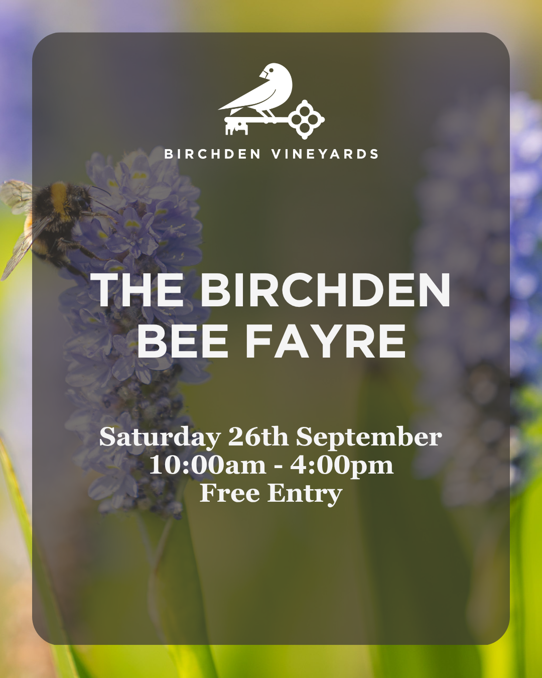 What's on this Autumn at Birchden Vineyards