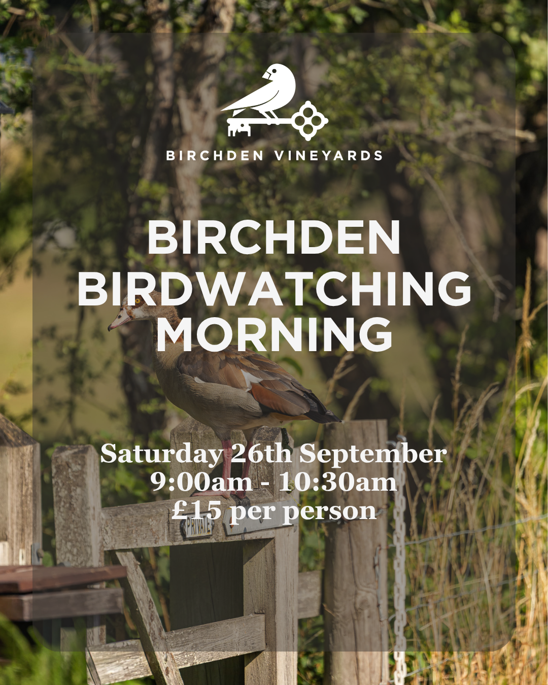What's on this Autumn at Birchden Vineyards
