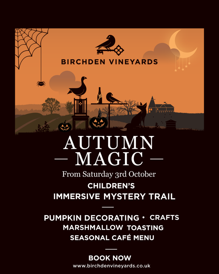 Children's Immersive Mystery Trail