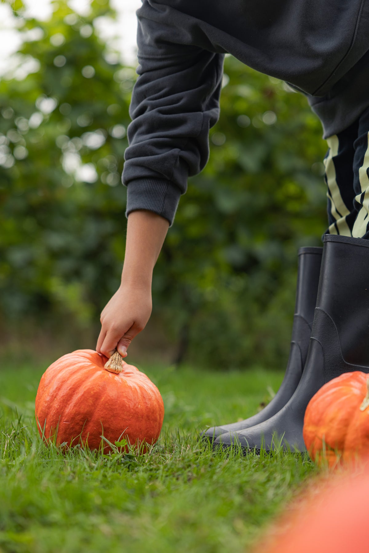 Children's Immersive Mystery Trail