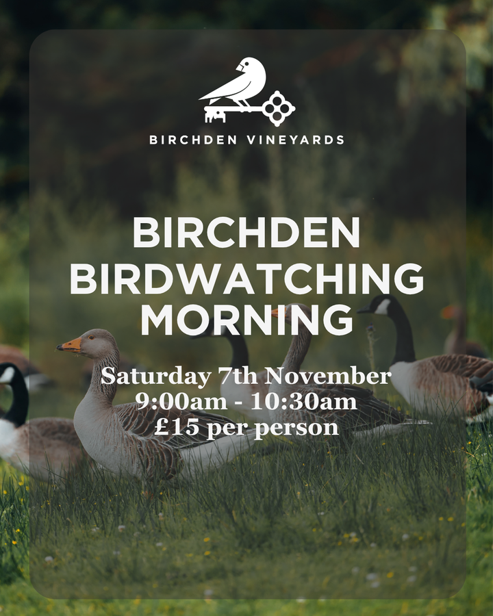 Bird Watching Morning at Birchden Vineyards