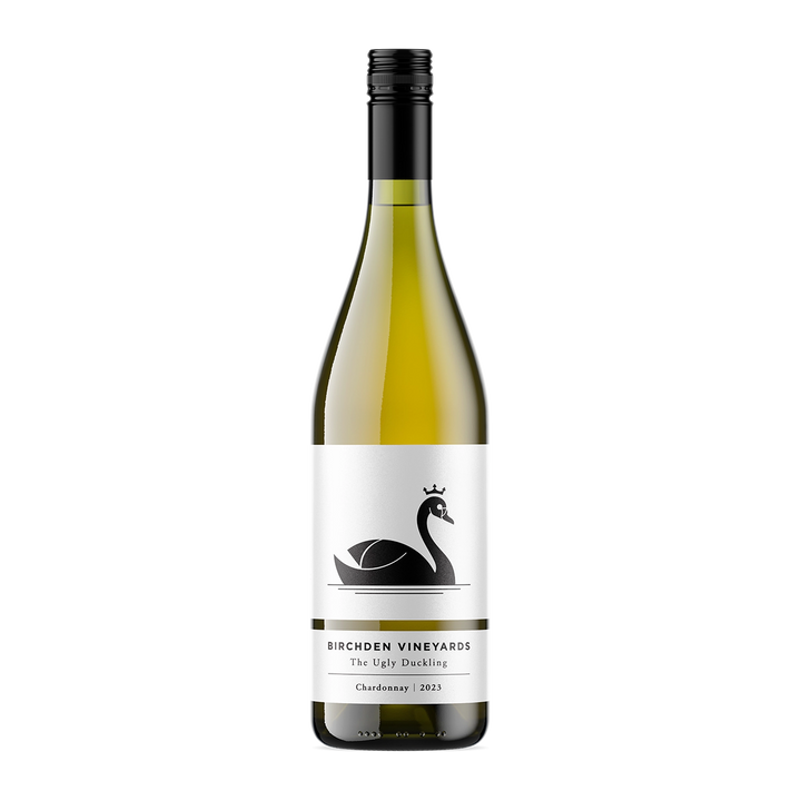 The Ugly Duckling 2023
