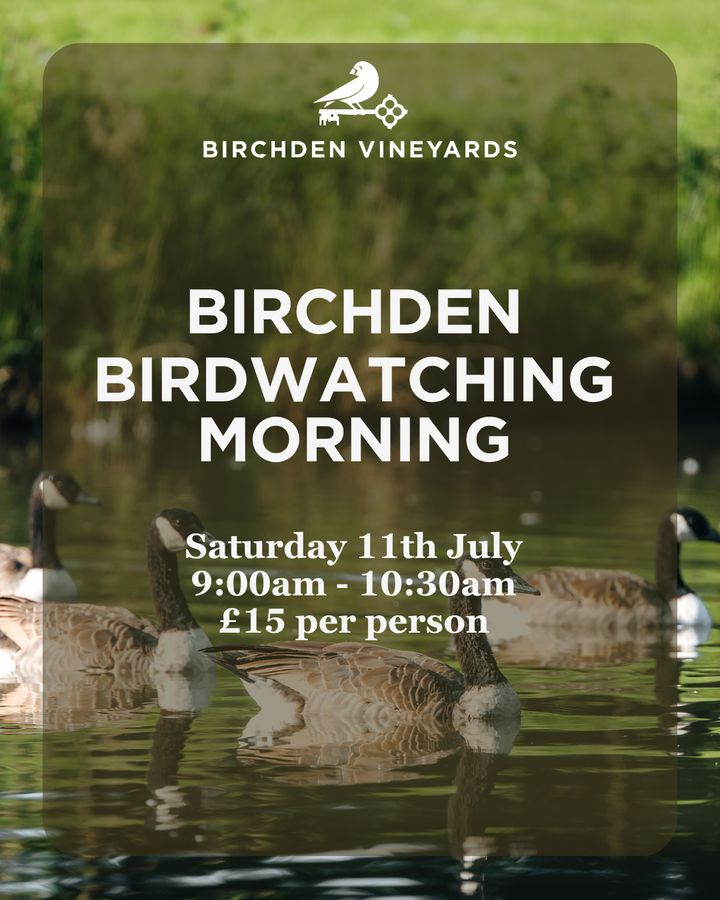 Bird Watching Morning at Birchden Vineyards