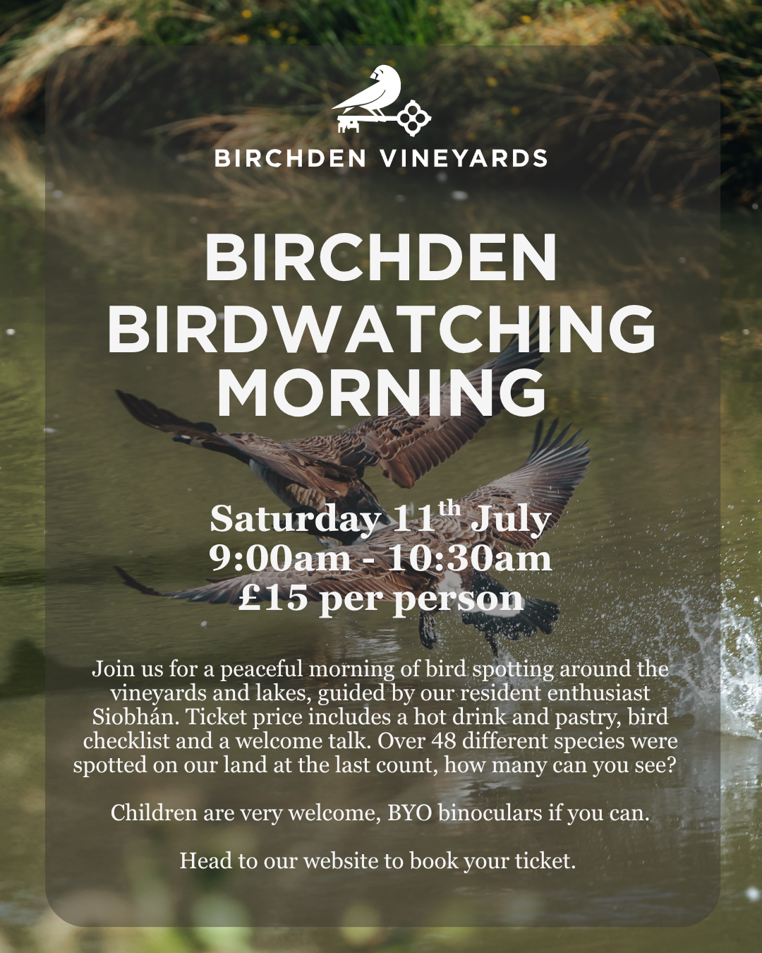 What's on this Summer at Birchden Vineyards