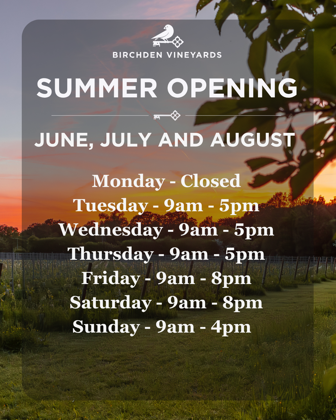 Spring Opening Hours Seasonal Events – Birchden Vineyards